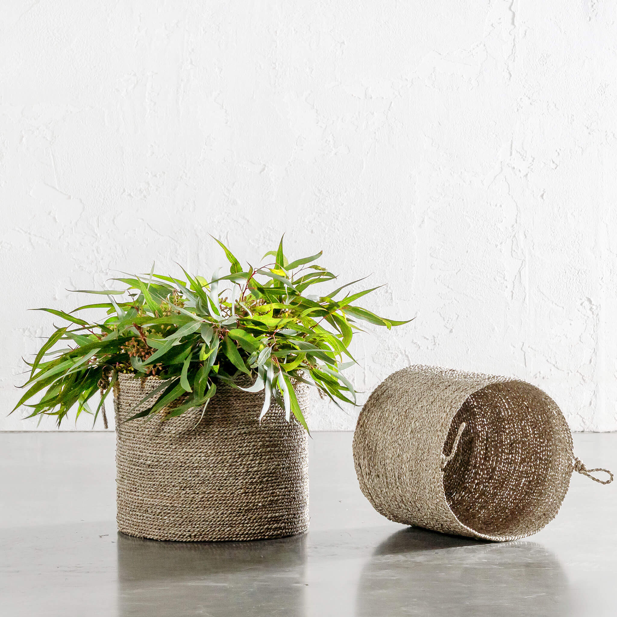 Seagrass Basket With Rope Twist Handle Bundle X2 – Natural