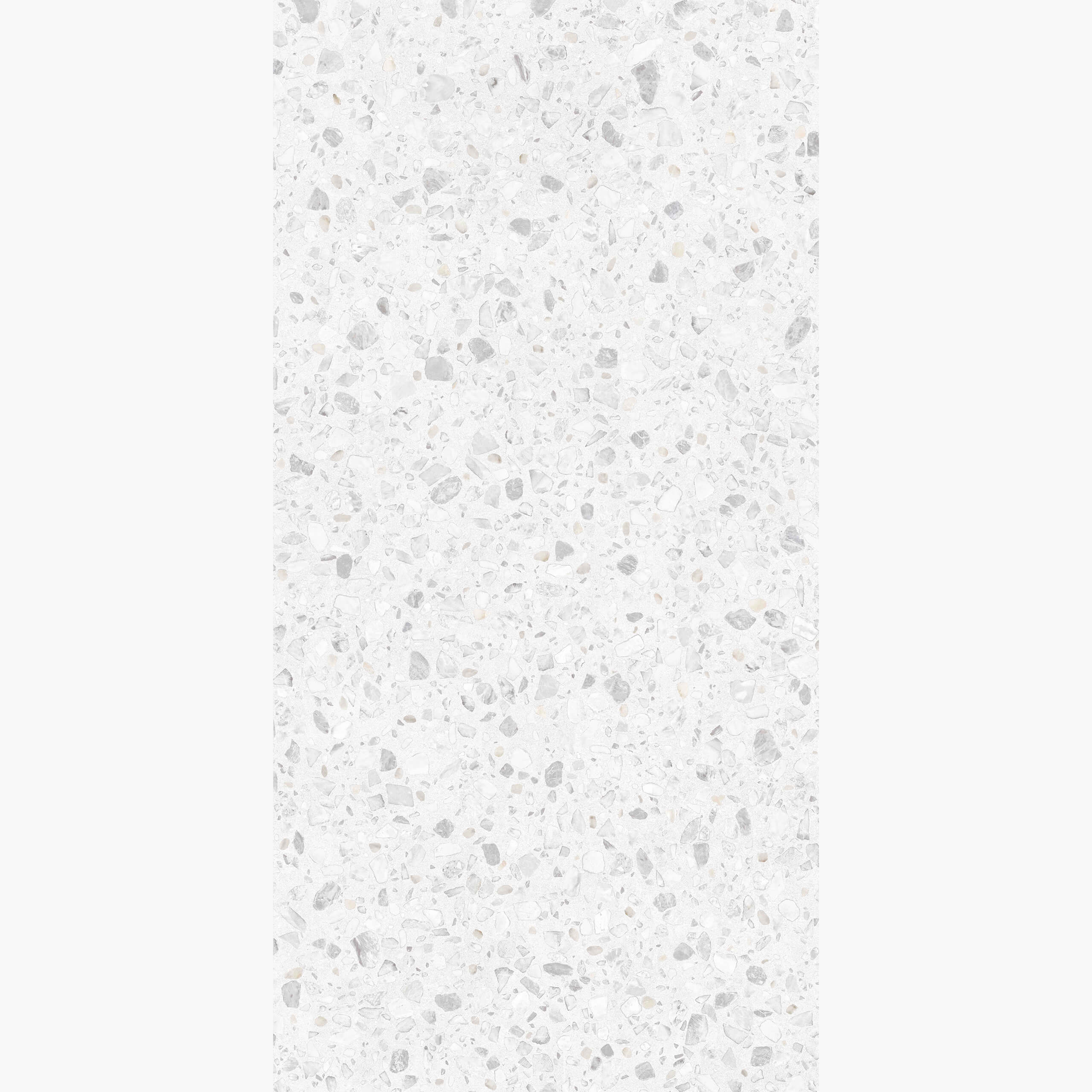 Agglo 1200x600 Matt Lido Terrazzo Look Rectified - Image 1