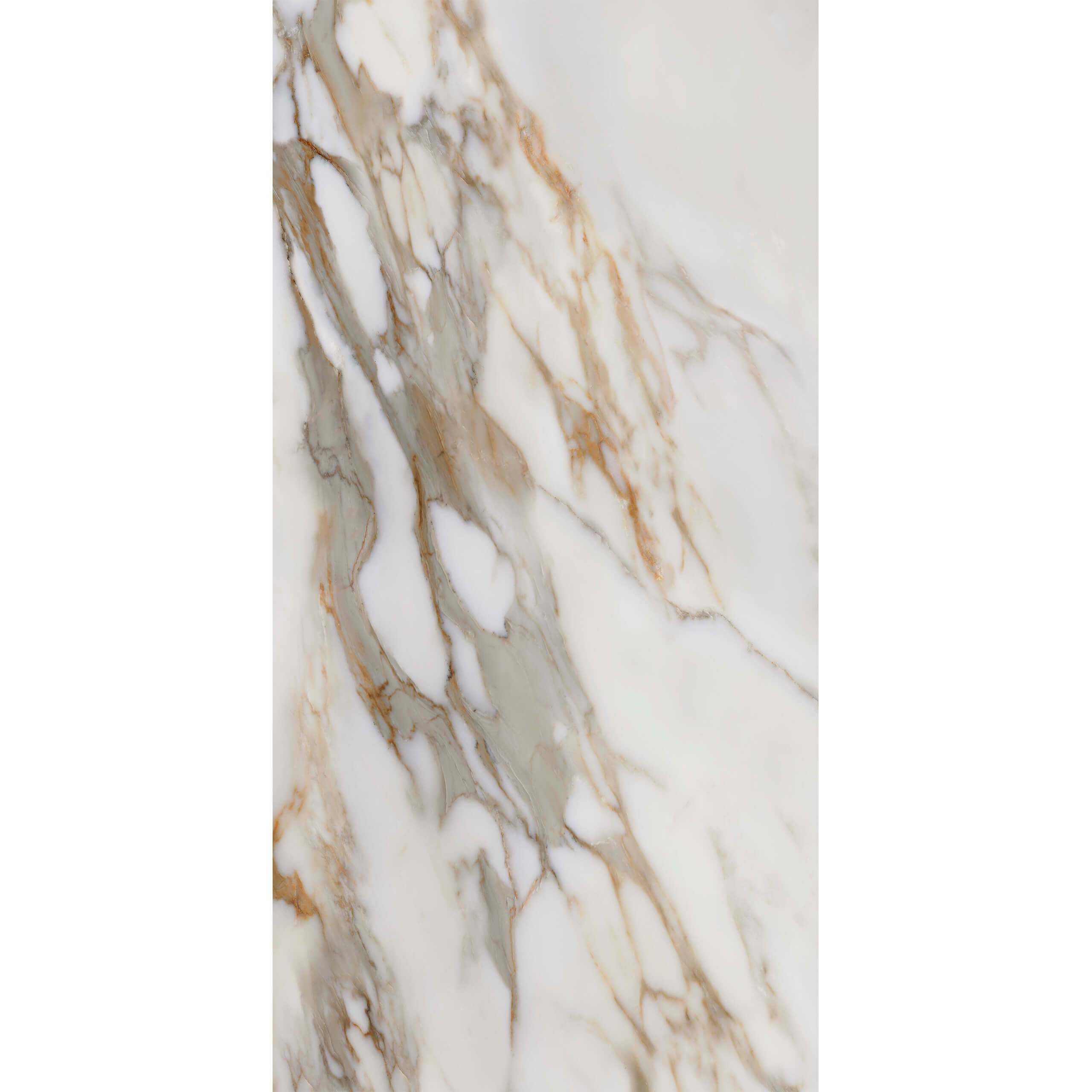 Elite Marble 1200x600 Natural Calacatta Macchia Marble Look Rectified