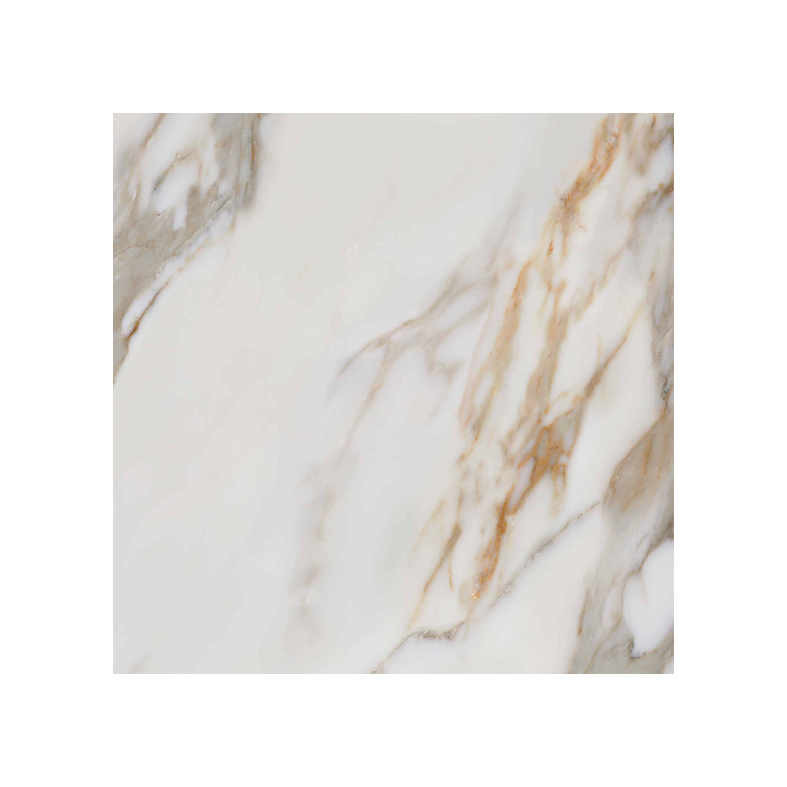 Elite Marble 600x600 Matt Calacatta Macchia Marble Look Rectified